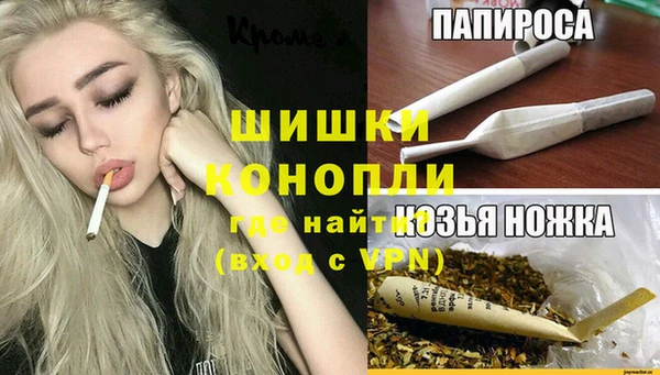 трава Новозыбков