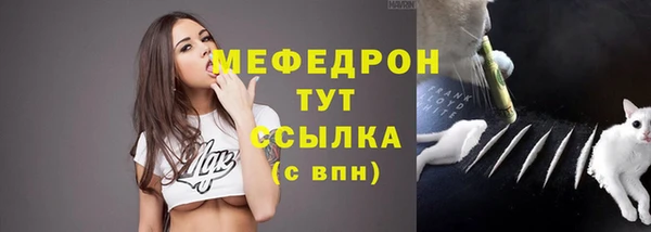 трава Новозыбков
