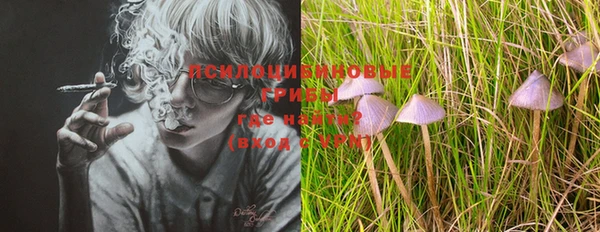 трава Новозыбков