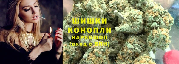 трава Новозыбков