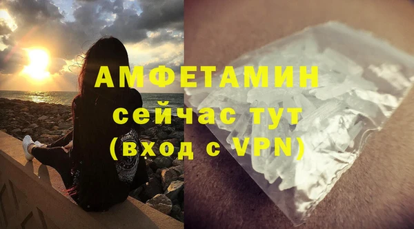 PSILOCYBIN Няндома