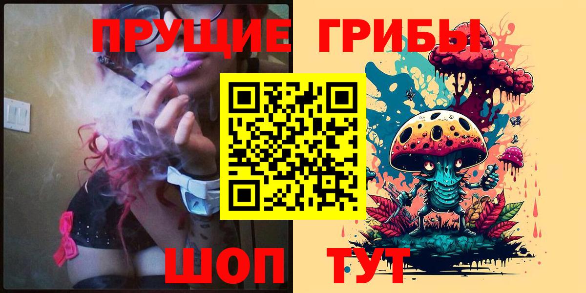 Псилоцибиновые грибы Psilocybe  цена   Юрга  Вход с VPN 